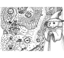 Карта «Светлого осколка»