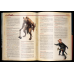 Midgard. Книга героев («Мидгард», Dungeons & Dragons (D&D, DnD, ДнД), 5-я редакция)