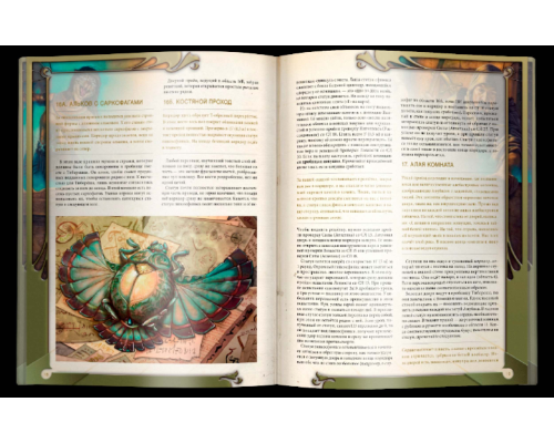 Midgard. Гробница Тибереша (приключение 2-го уровня в мире «Мидгард», Dungeons & Dragons (D&D, DnD, ДнД), 5-я редакция)