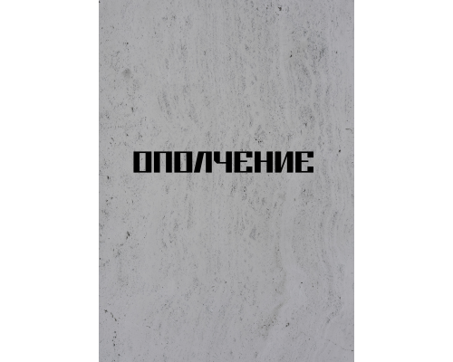 Ополчение