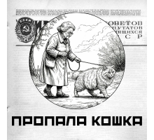 Пропала кошка